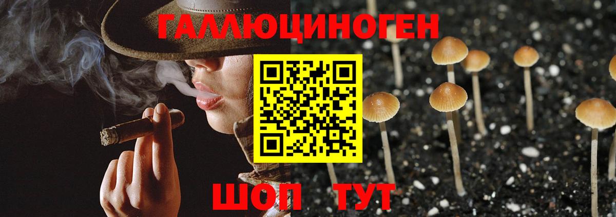 Галлюциногенные грибы MAGIC MUSHROOMS Астрахань